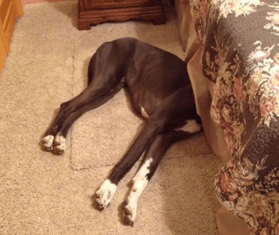 Captura de pantalla 2018-03-12 a las 20.56.30.png